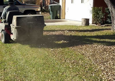 Best Leaf Removal Vacuuming in Killeen