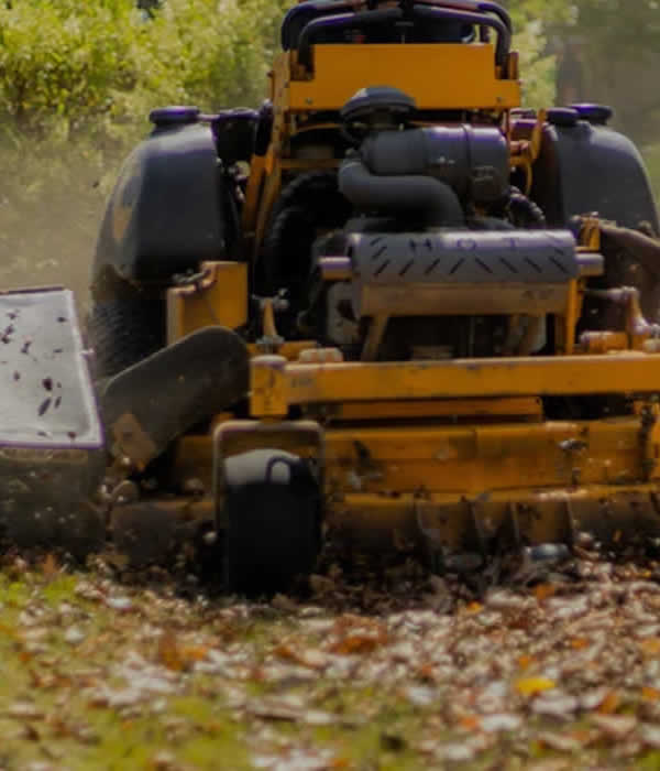 Professional Leaf Removal Services Temple TX